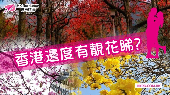 愛情分享 - 【春天限定】香港邊度有靚花睇? - HK Romance Dating | Speed Dating Hong Kong - matching 、配對 、約會 、 交友、結識異性專家